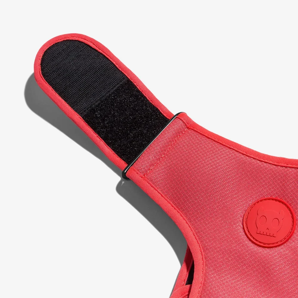 NeonCoralAdjustableAirMesh3_1024x1024@2x.webp