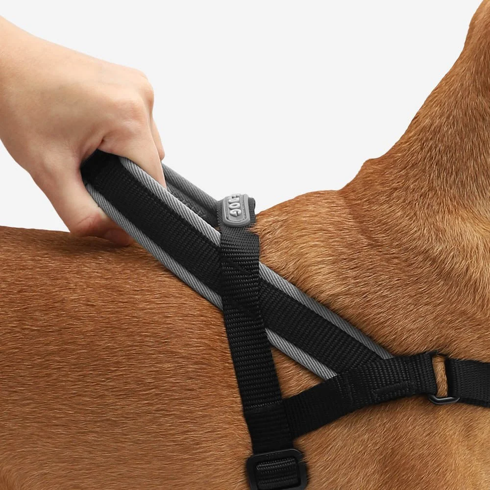 zeedog-soft-walk-harness-gotham_main-4_2f79eb45-f0ce-450d-8464-07021f64b76d.jpg