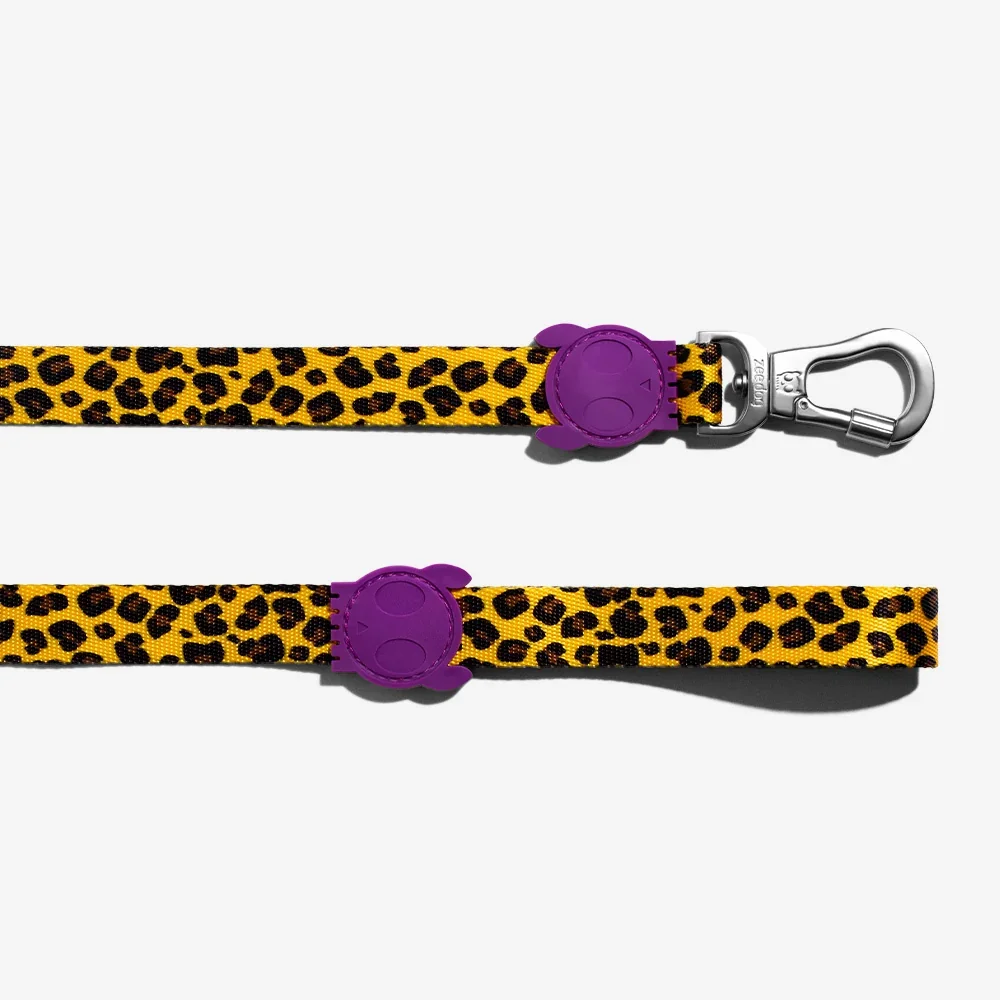 zeedog-dog-leash-honey_main-5.webp