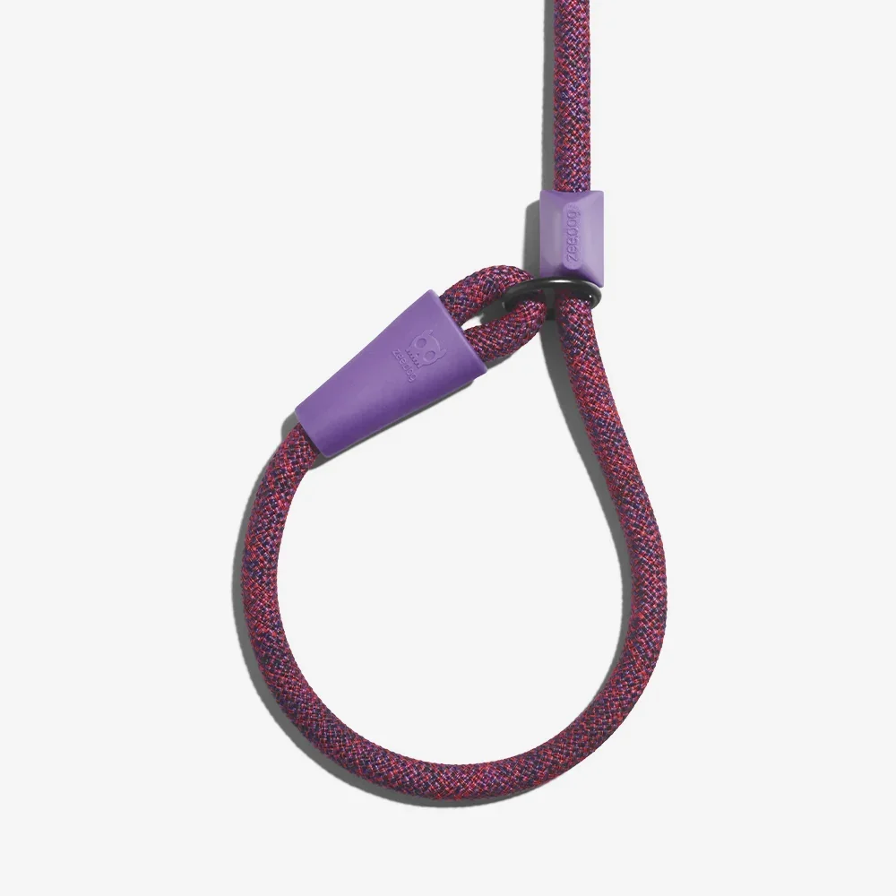 zeedog_dog_leash_slip-on_leash_cosmo_main-3.webp