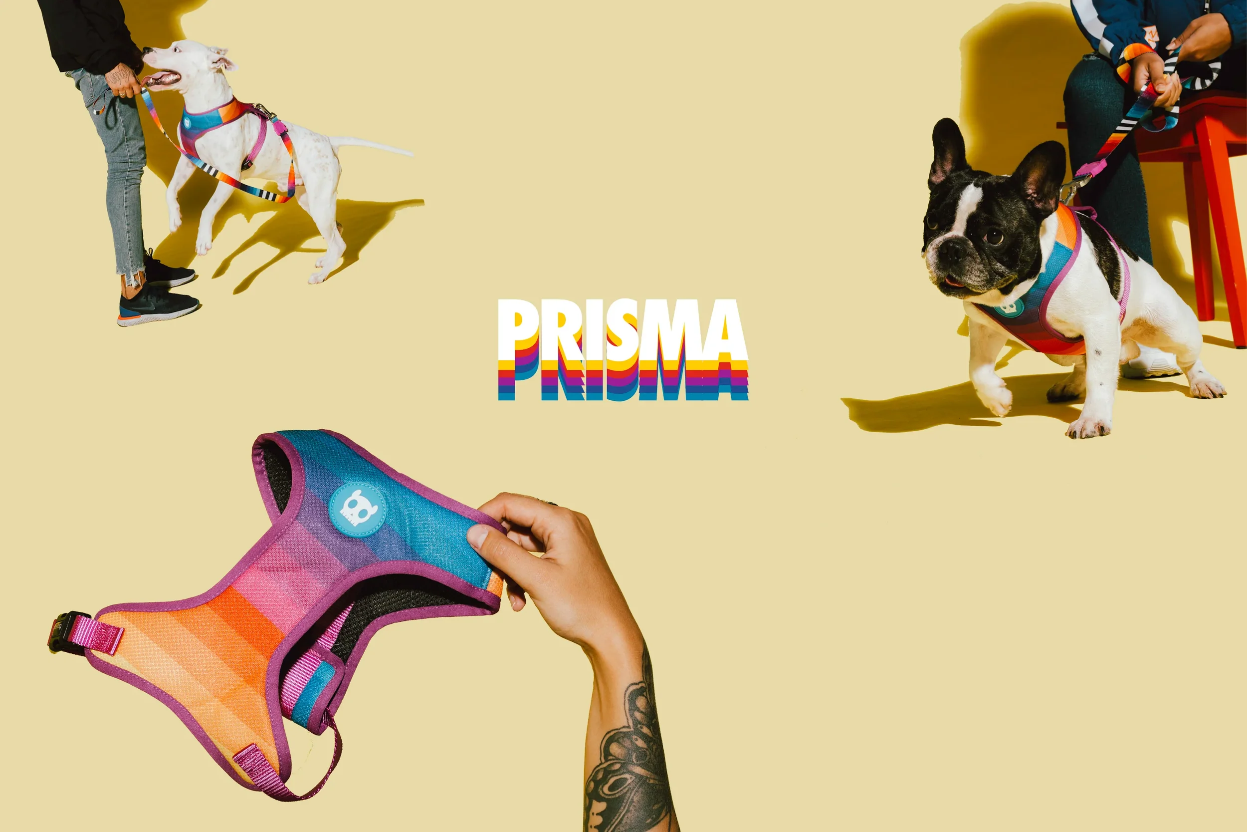 prisma_23_3000x2000.webp