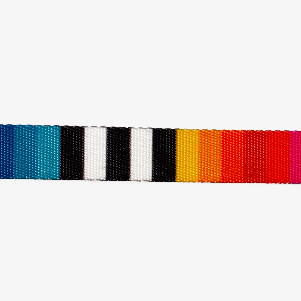 zeedog_h-harness_prisma_main-4.webp