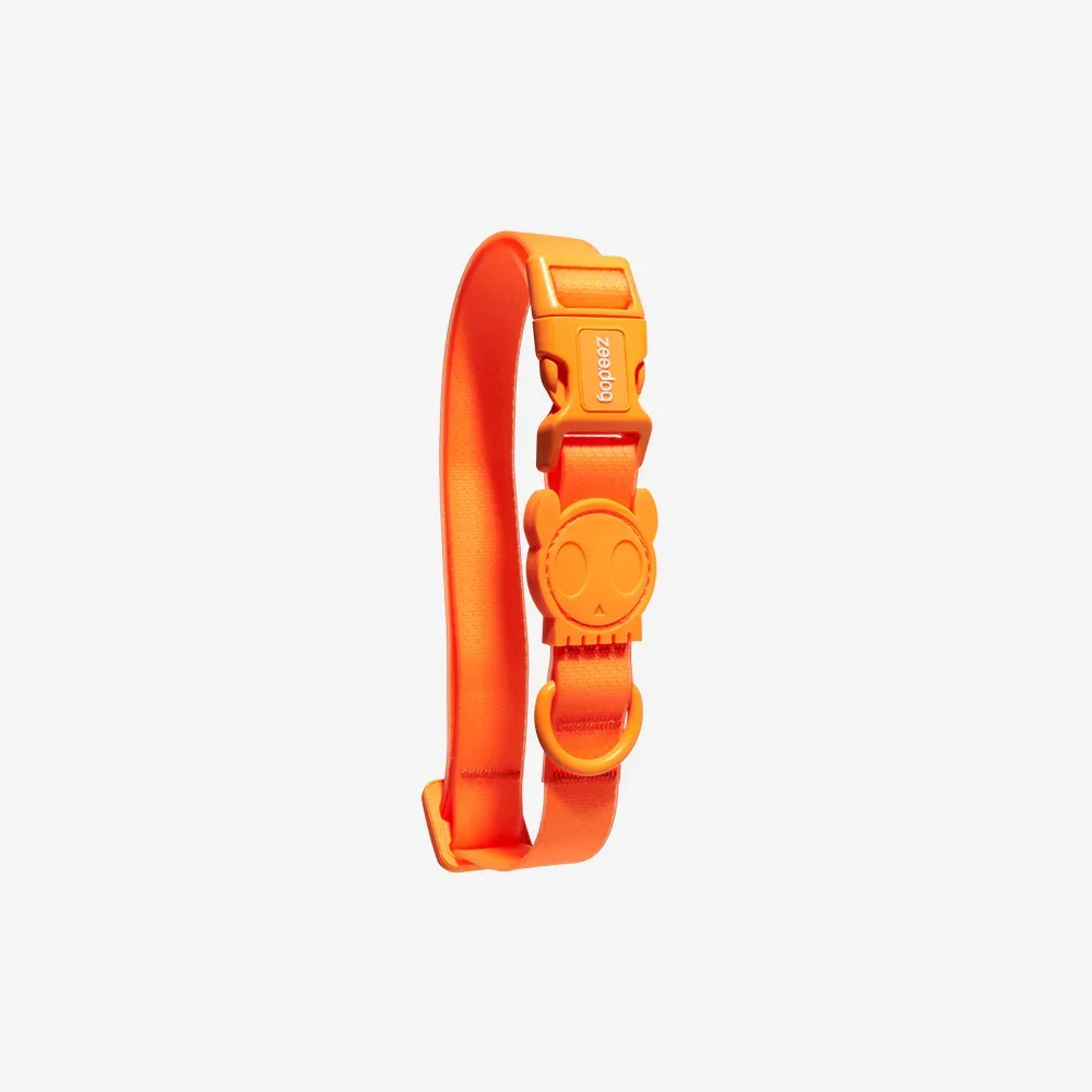 TANGERINE NEOPRO COLLAR | ZEEDOG