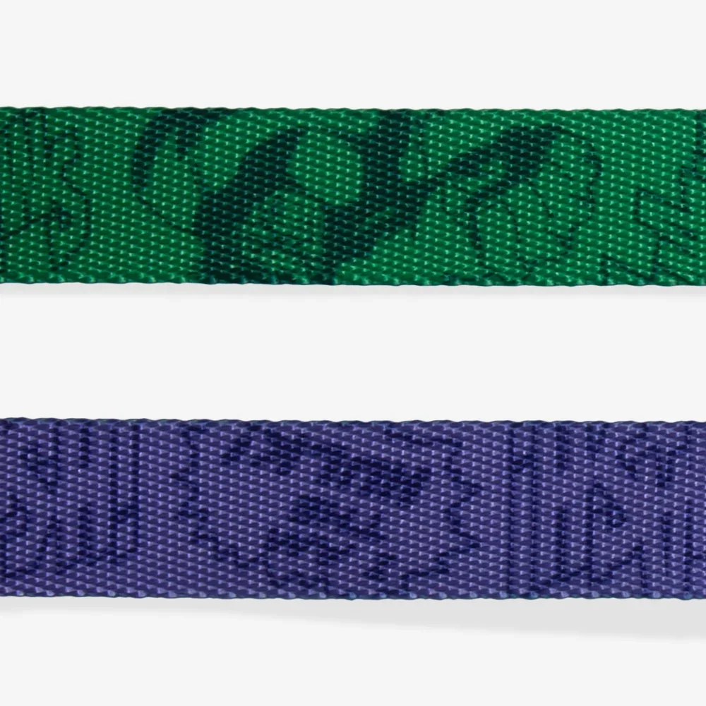 zeedog-dog-leash-marvel-hulk_main-6.webp