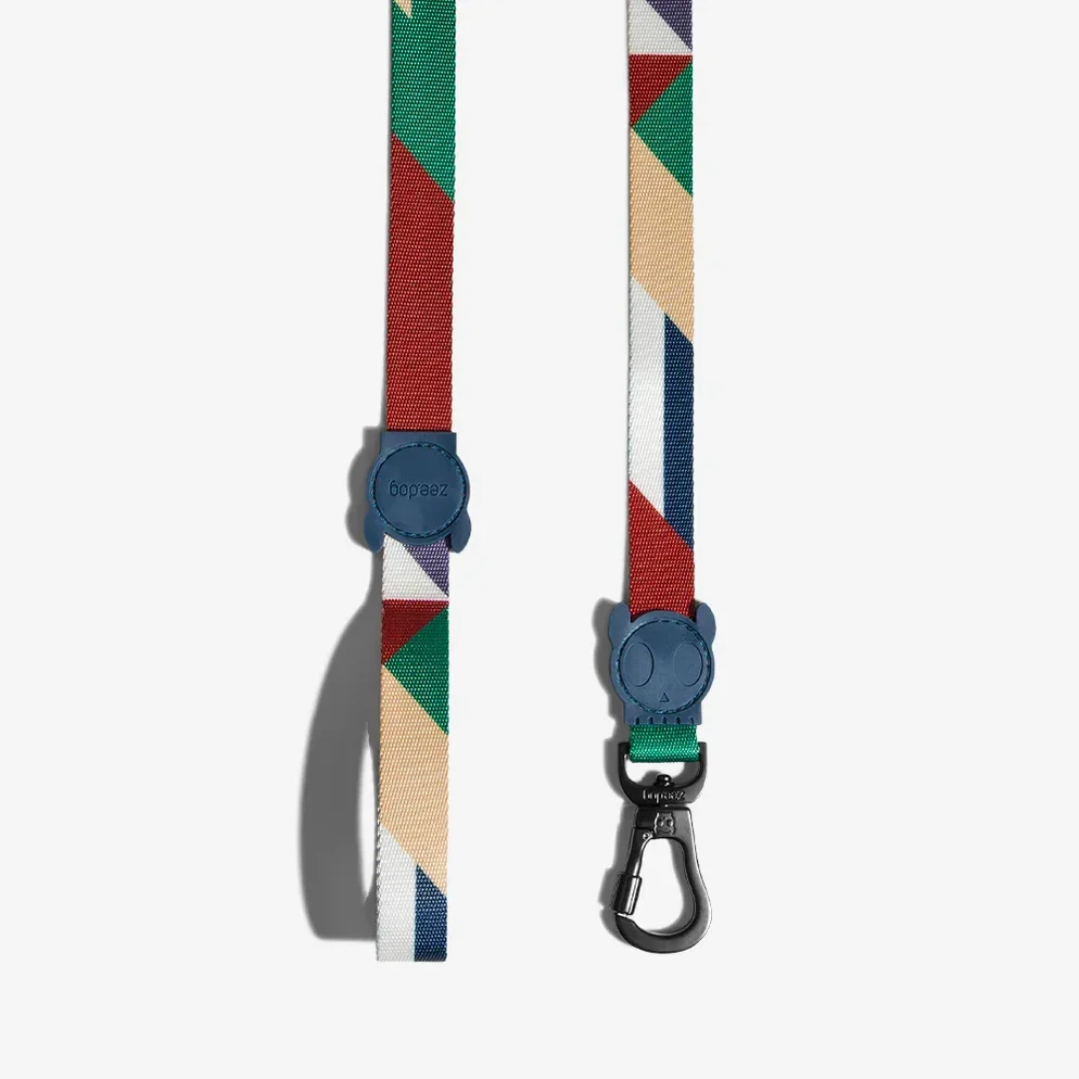 zeedog-dog-leash-pacco_main-1_2376x_75b0b5e5-cd0a-474d-8bf7-5642ce86b861_994x994.webp