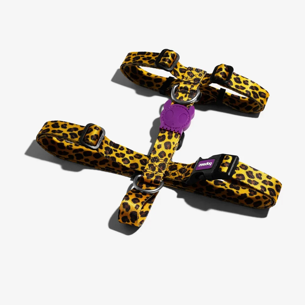 HONEY H HARNESS | ZEEDOG