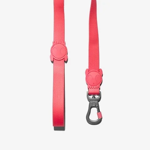hover_zeedog-dog-leash-neopro-bubblegum.webp