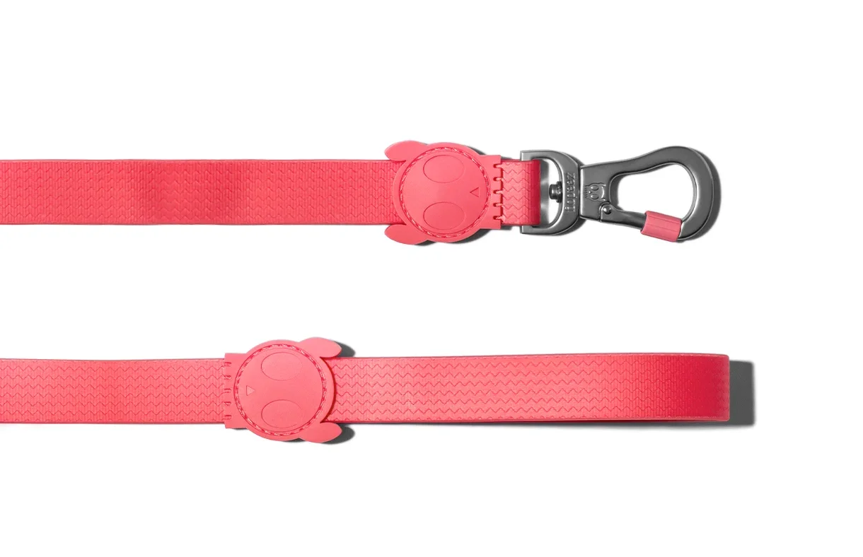 dog-leash-neopro-bubblegum-pink-weather-resistant-zeedog-info-image.webp