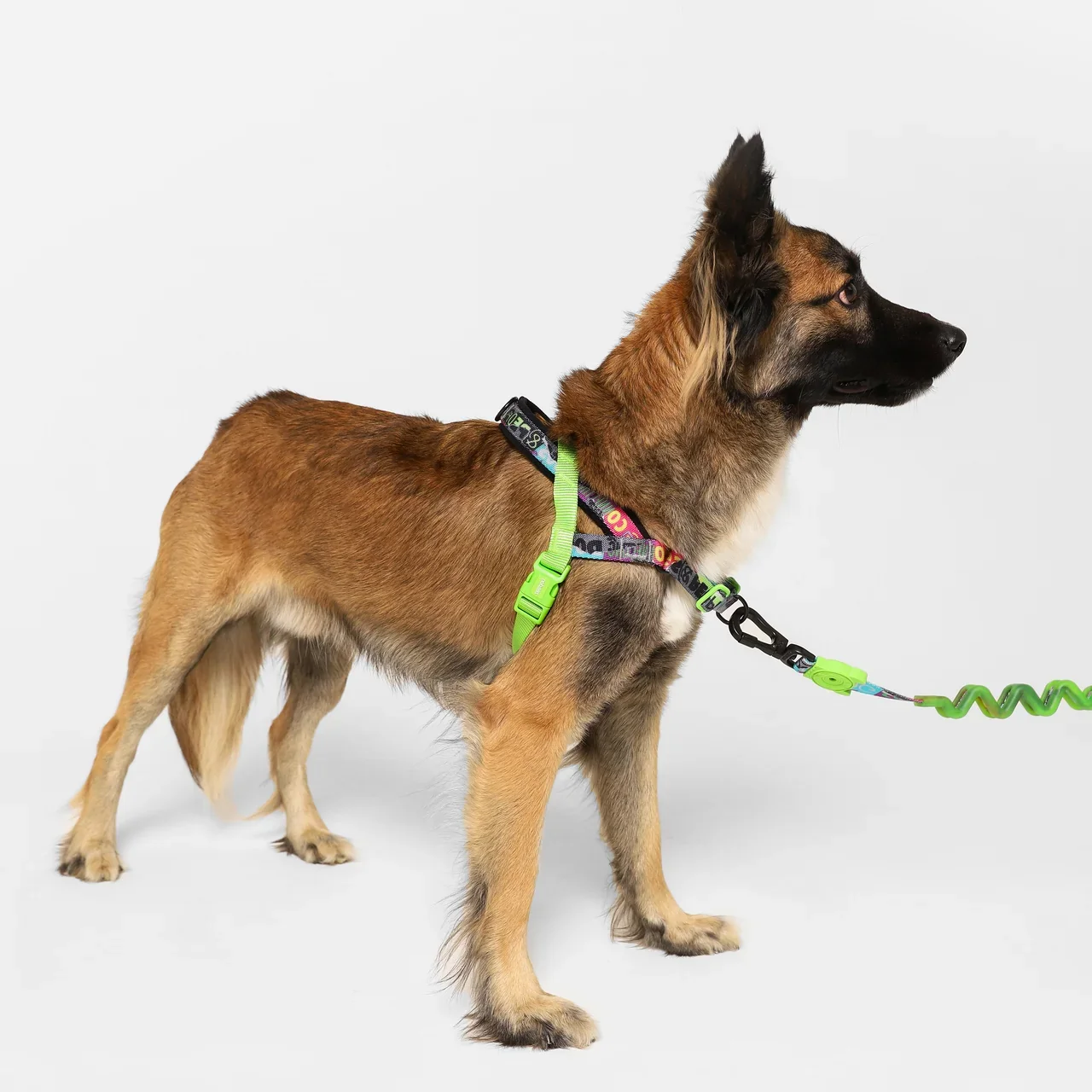 manifesto-softerwalk-harness-main-3_d54233f5-073d-4160-9539-a008fb8b11a5.webp