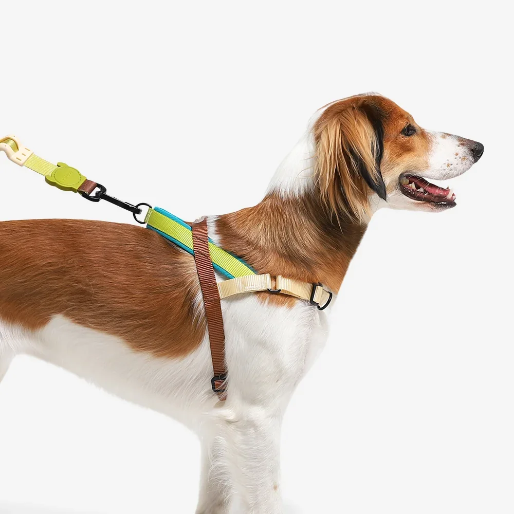 softer-walk-harness-avocado-main-5.webp