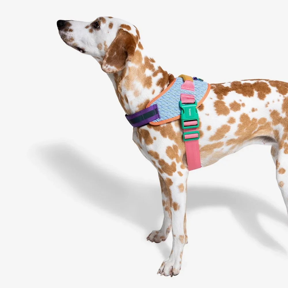zeedog-flyharness-galaxy_main-6.webp