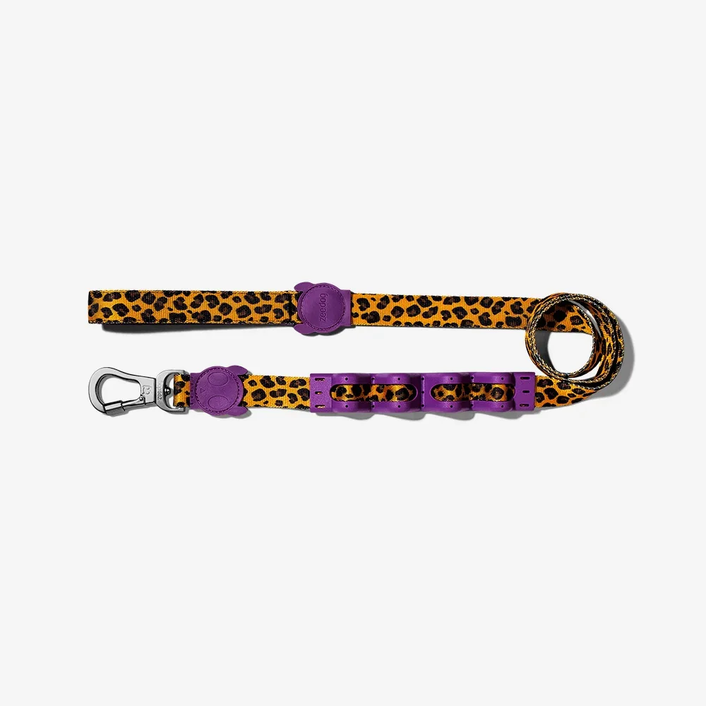 zeedog-ruff-leash-2-honey_main-4.webp