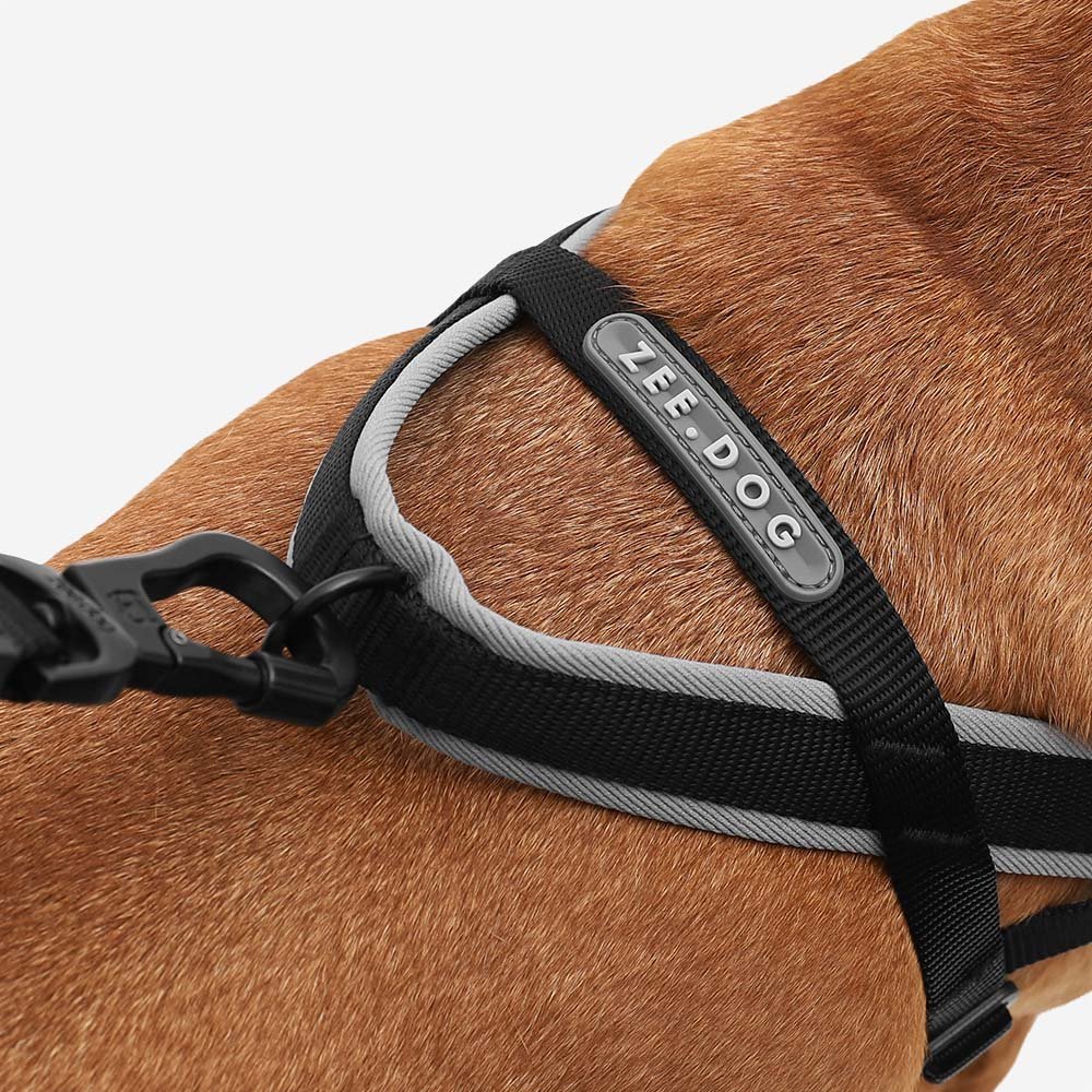 zeedog-soft-walk-harness-gotham_main-6.jpg
