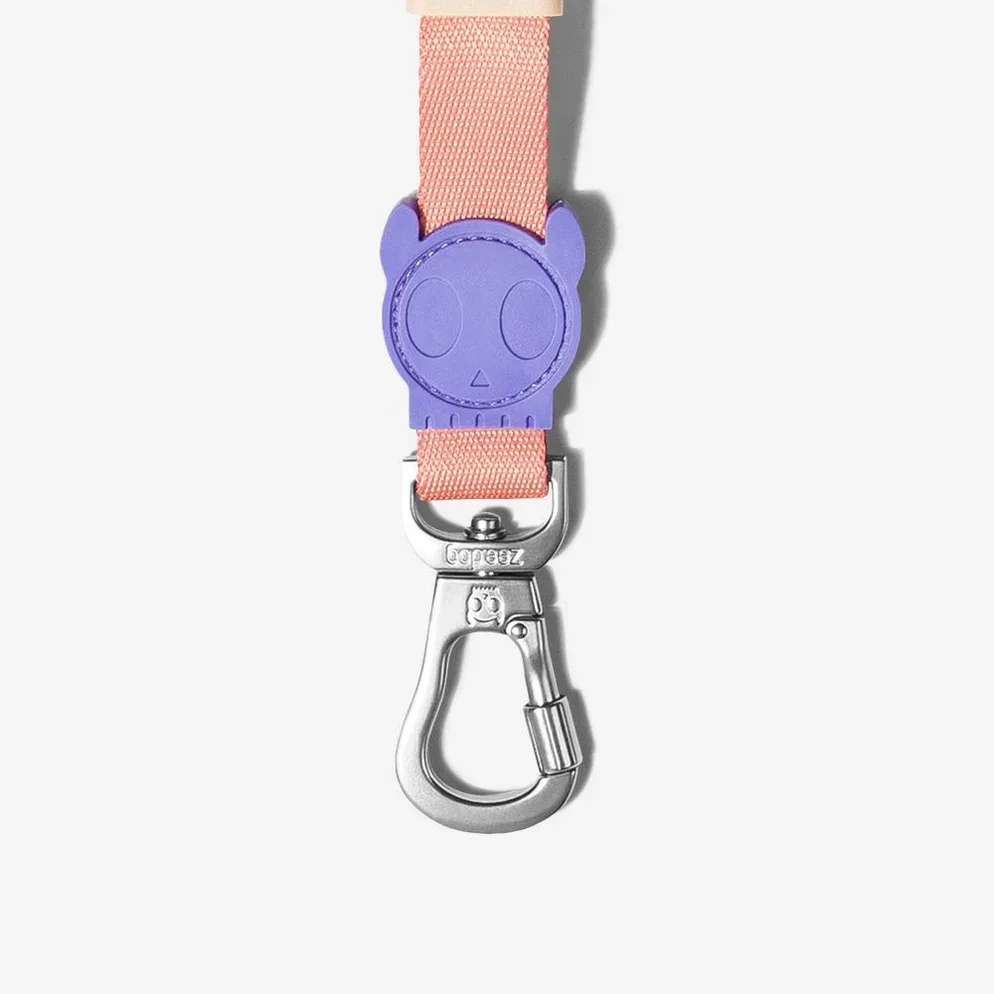 zeedog-ruff-leash-cinnamon_main-5_1296x_ed57f7f7-4e4e-4c45-9ab4-b15c2817a191_994x994.webp