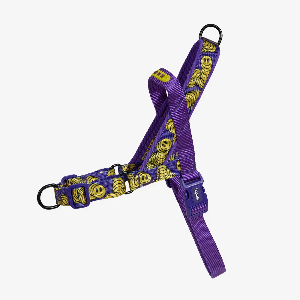 ZMILEY - SOFTER WALK (NO PULL) HARNESS | ZEEDOG