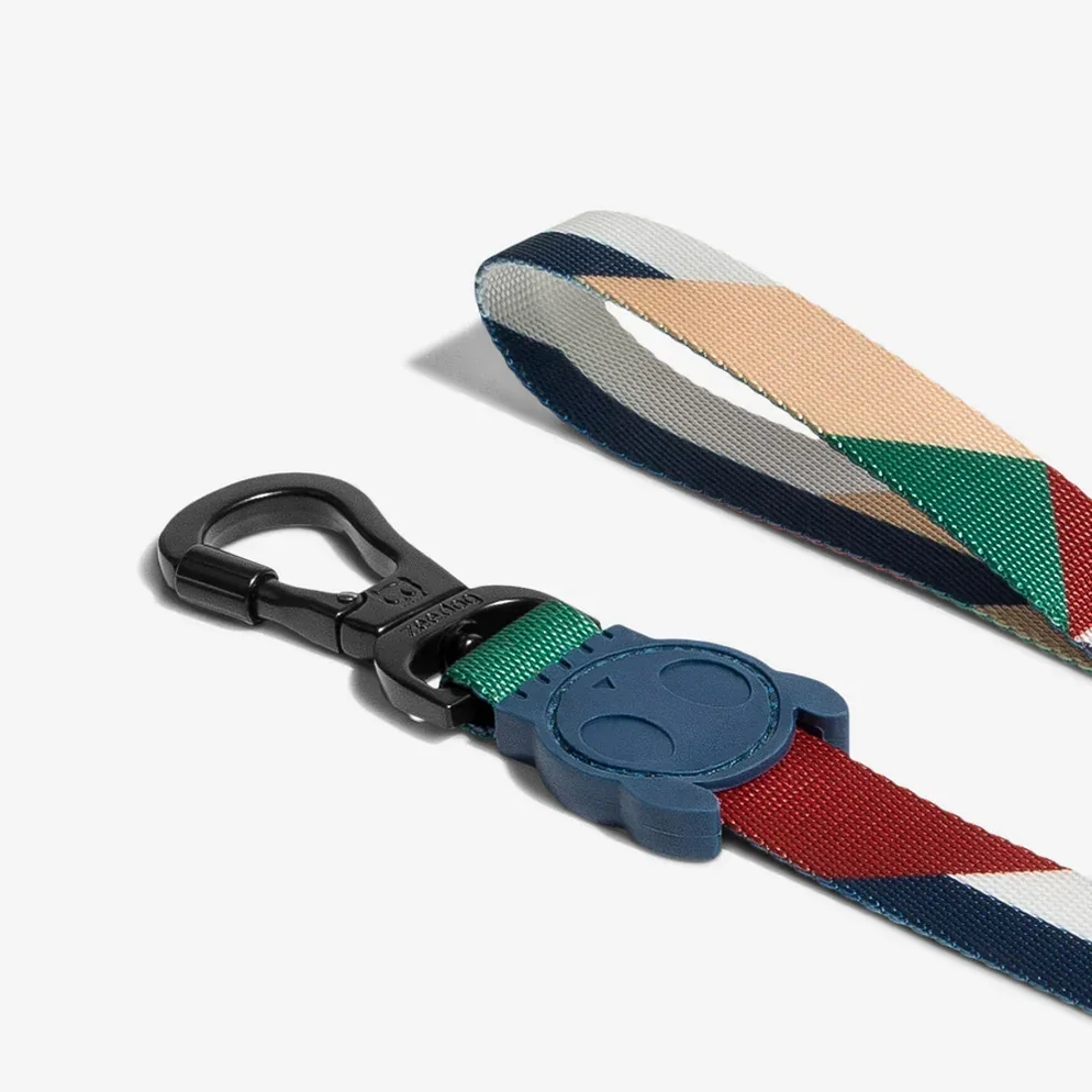 zeedog-dog-leash-pacco_main-4_2376x_8285e169-da2e-487a-919c-b1d100be4984_994x994.webp