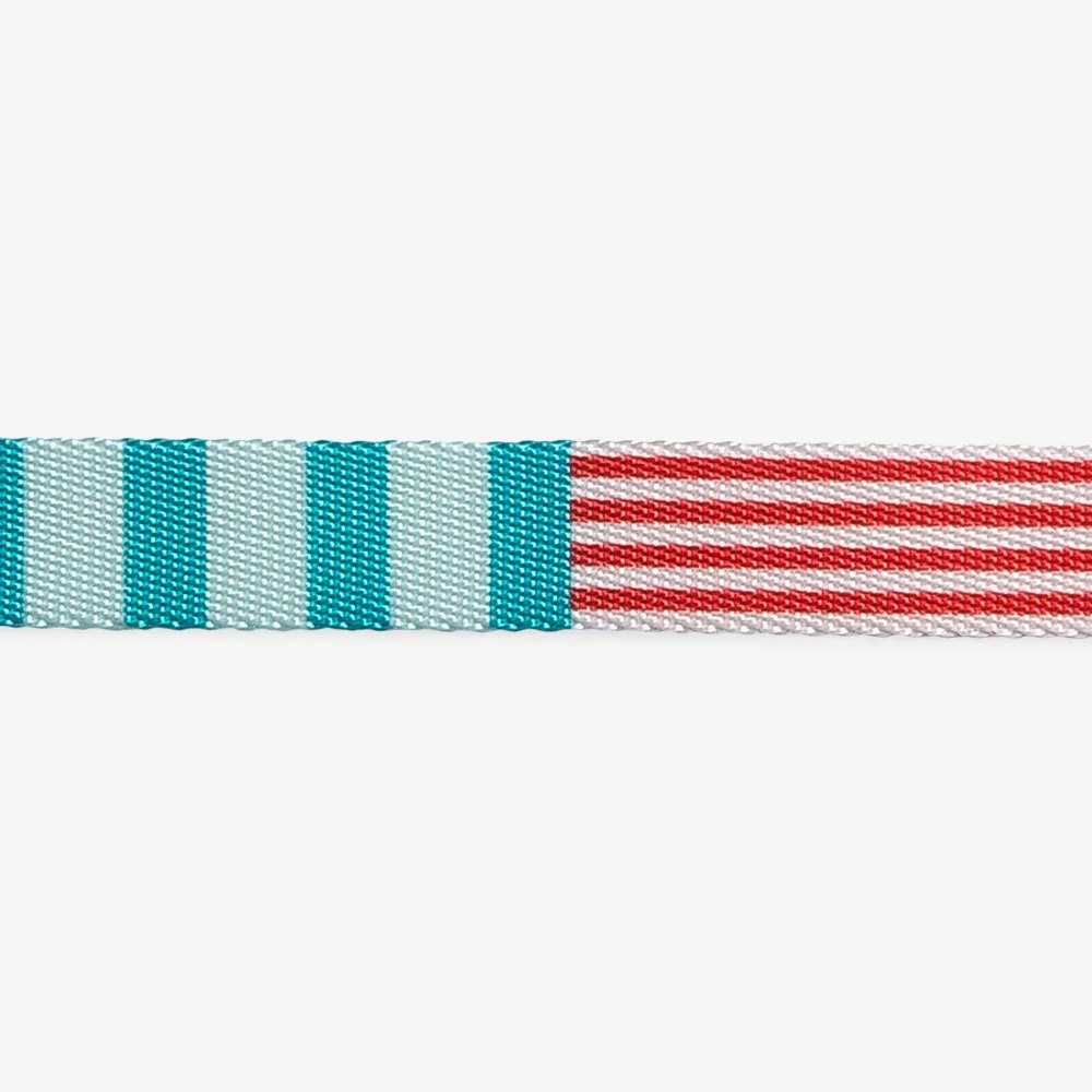 zeedog-dog-leash-yacht_main-6.webp