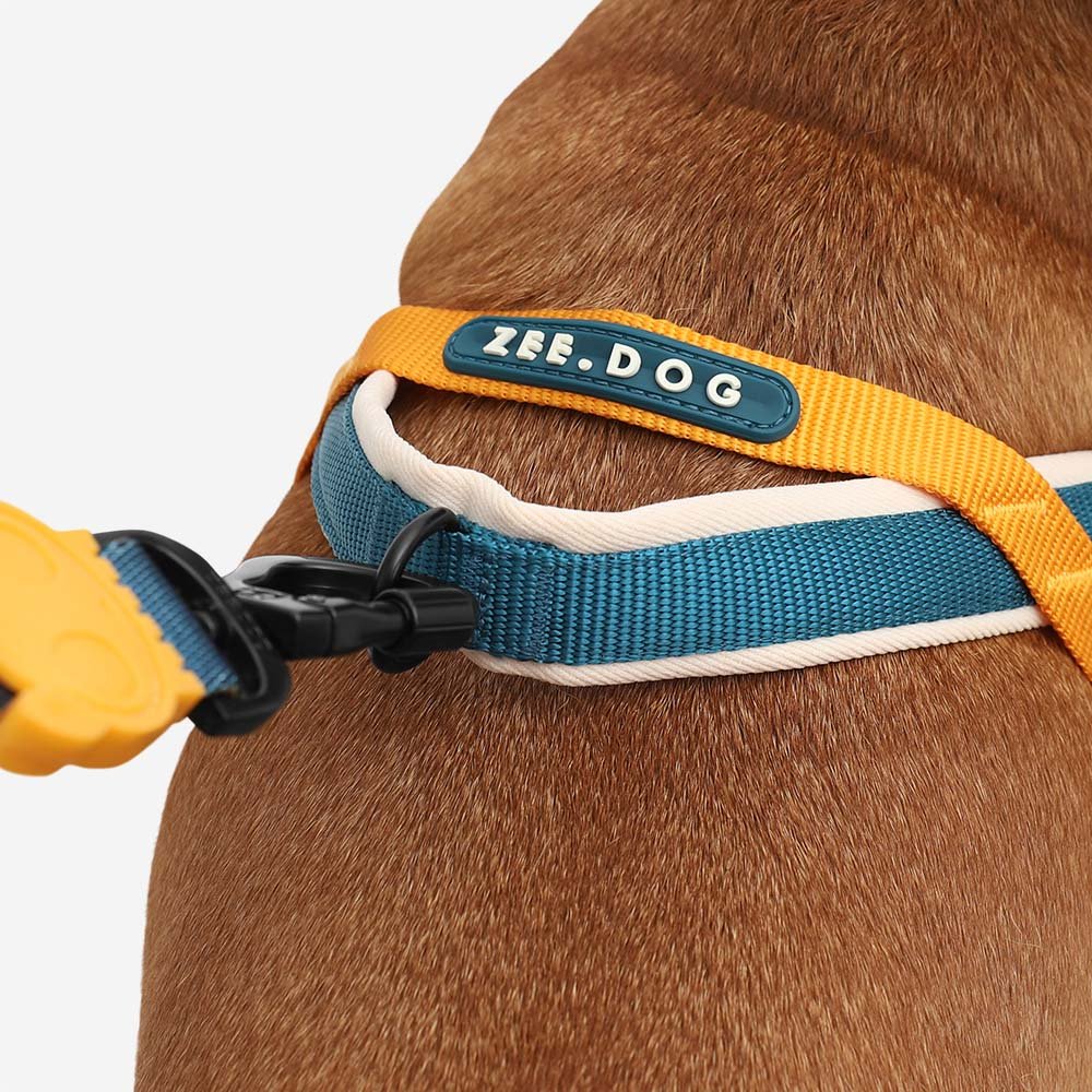 zeedog-soft-walk-harness-voyage_main-3.jpg