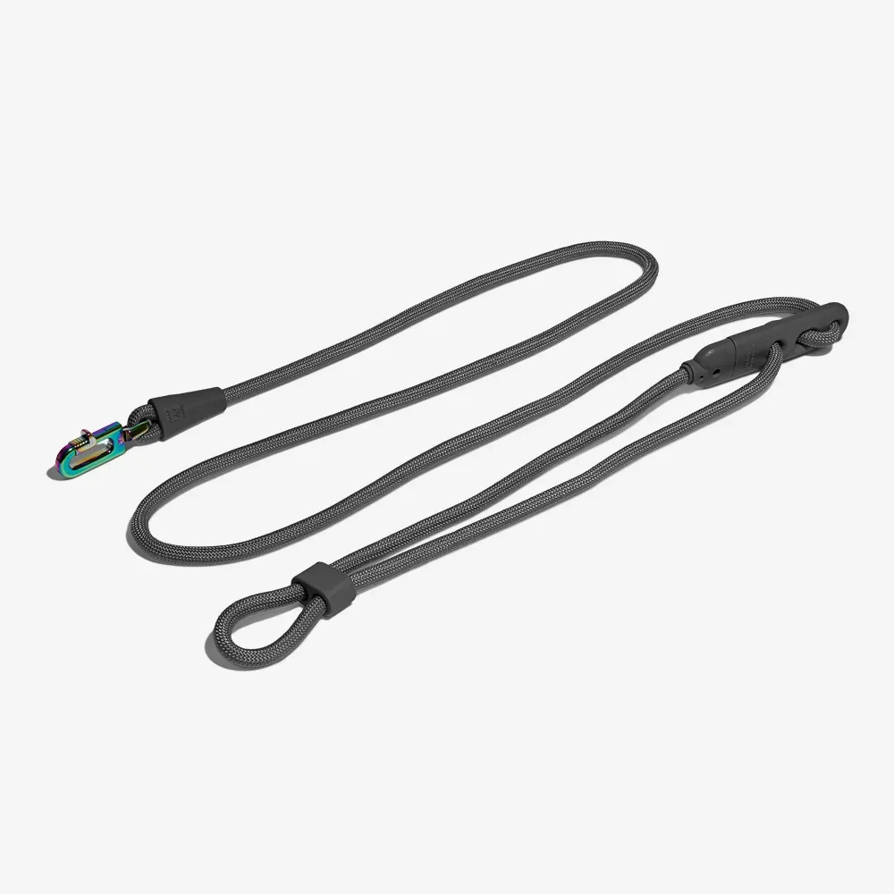 TITANIUM - HANDS FREE LEASH | ZEEDOG