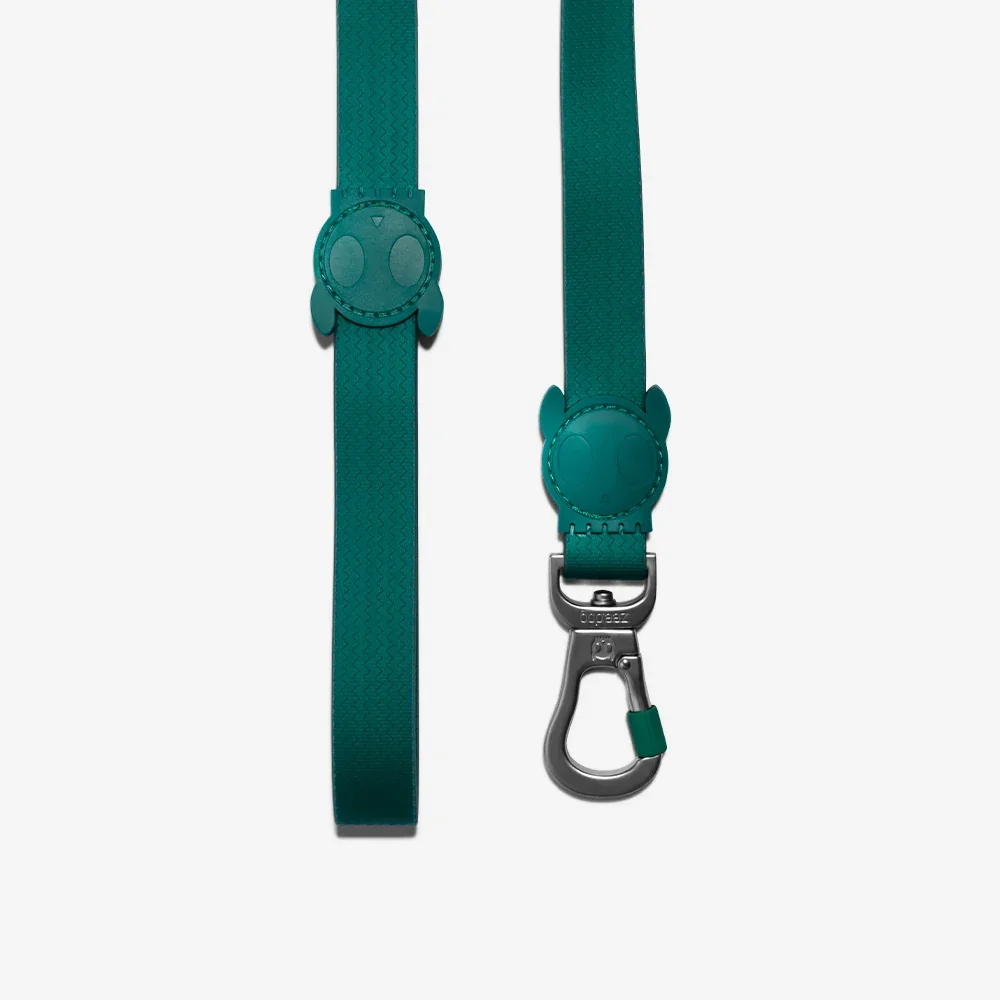 zee_dog_neopro_amazonia_dog_leash_main-5.webp