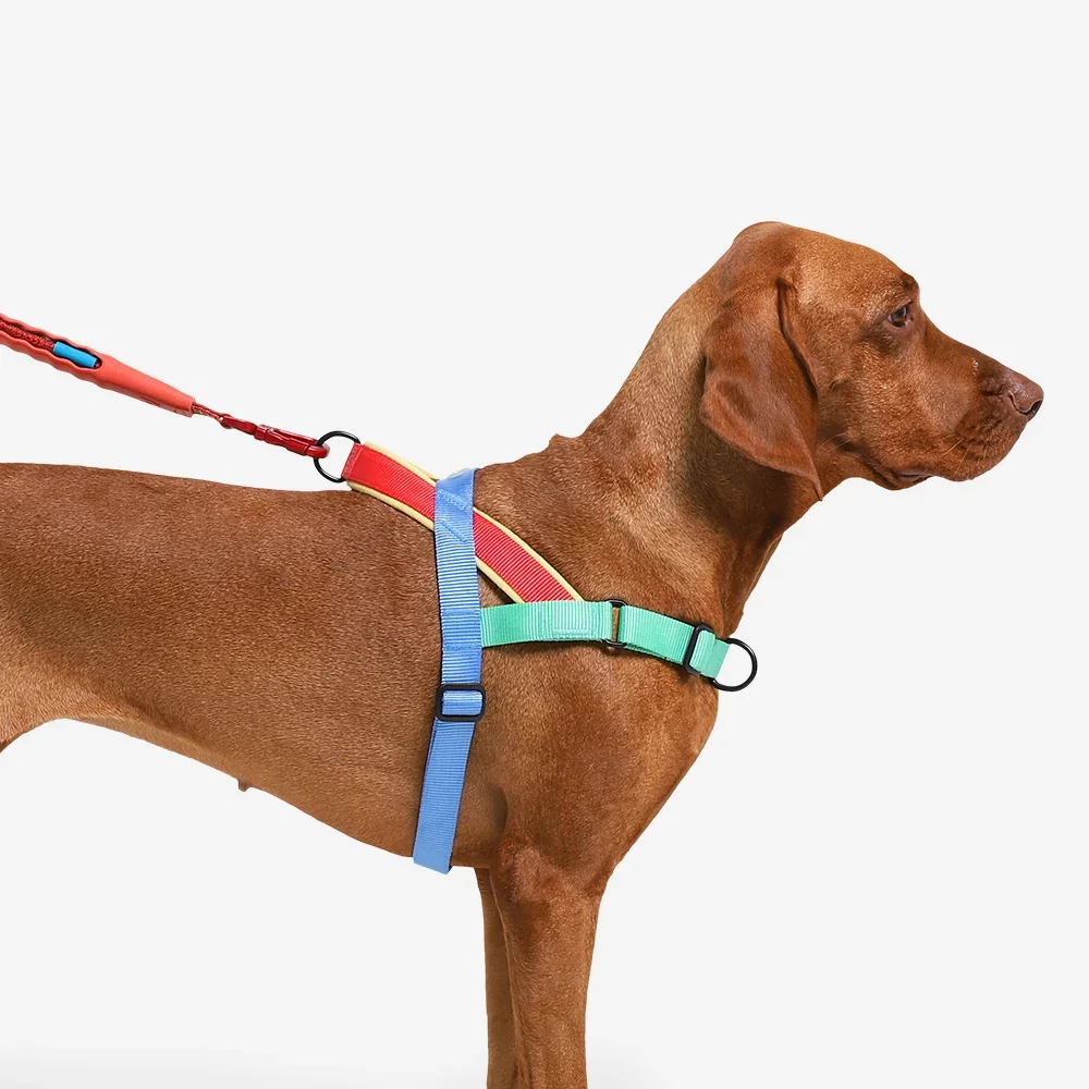 softer-walk-harness-mellow-main-5.webp