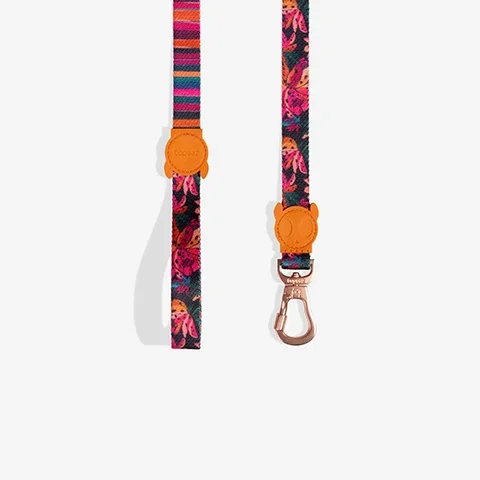 farm-leash-selva-Active.webp