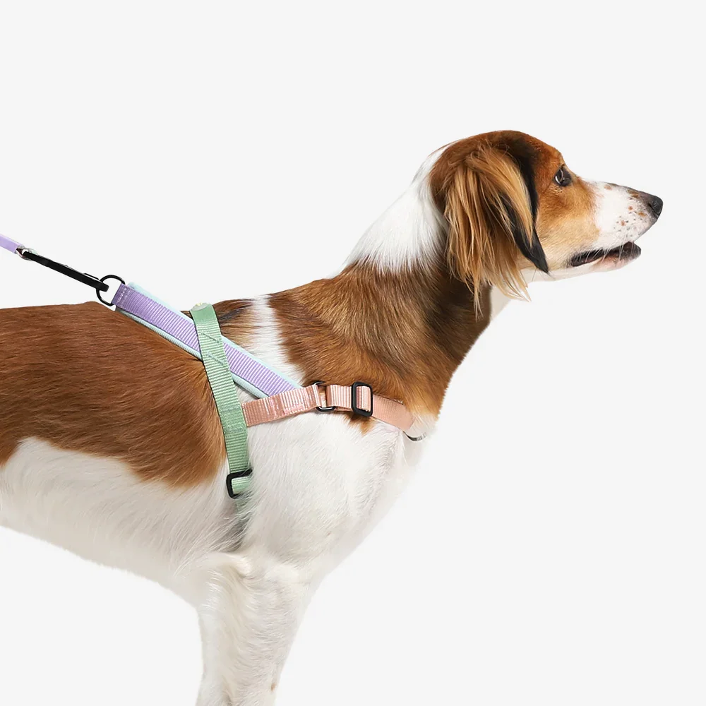 softer-walk-harness-peach-main-5.webp
