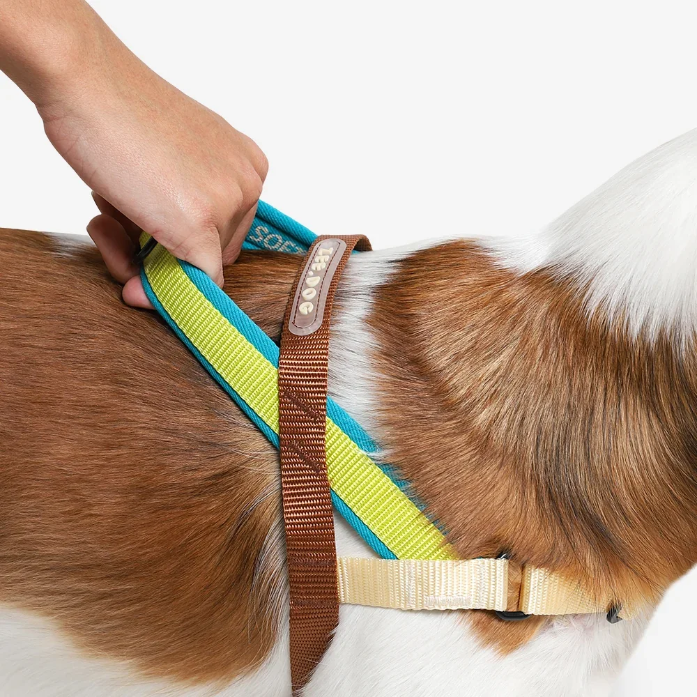 softer-walk-harness-avocado-main-4.webp