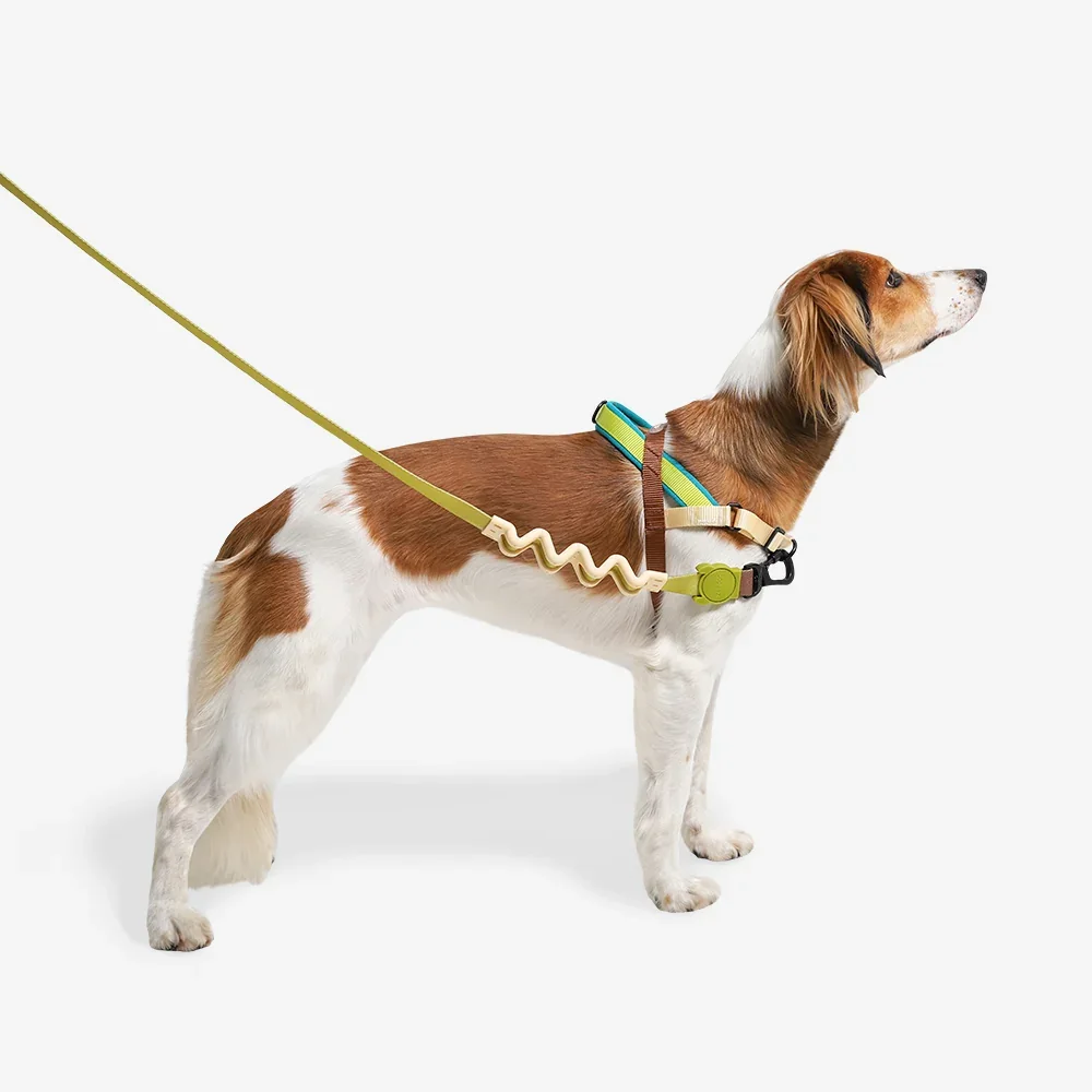softer-walk-harness-avocado-main-3.webp