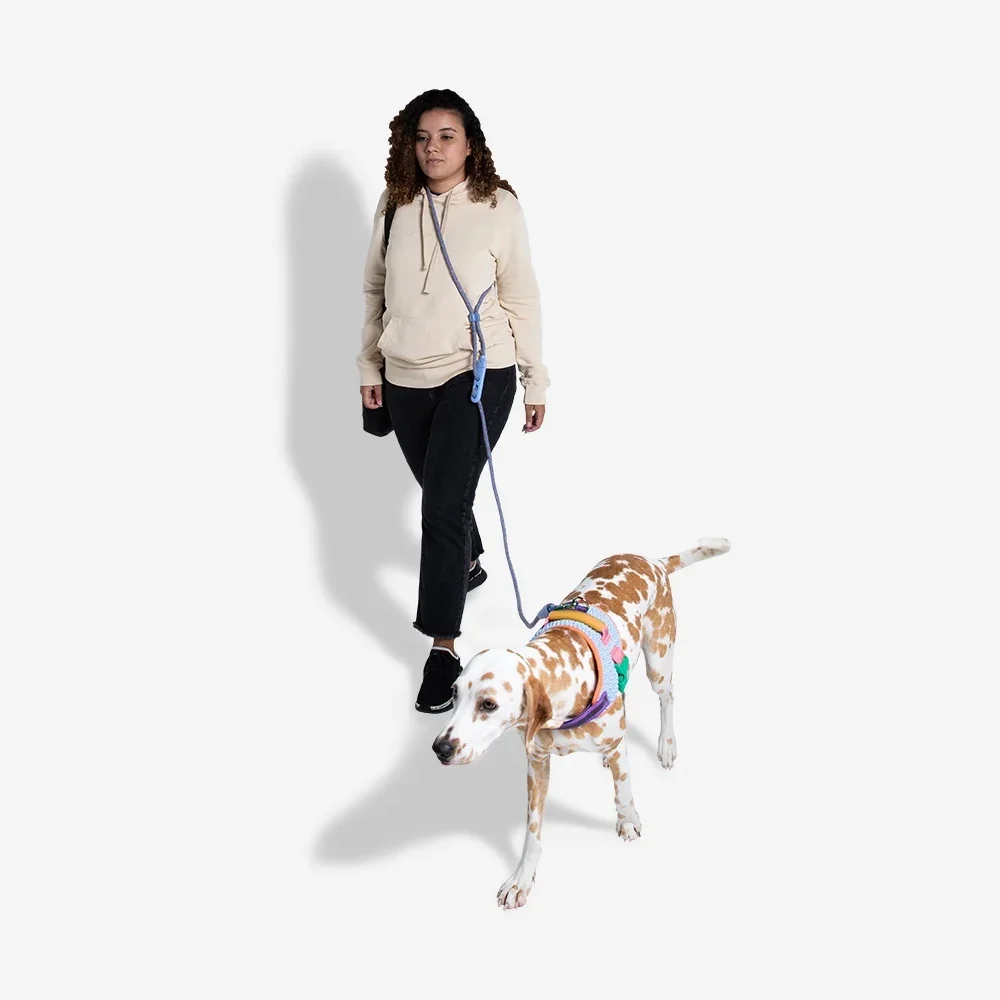 zeedog-dog-leashes-hands-free-leash-andromeda_main-4.webp