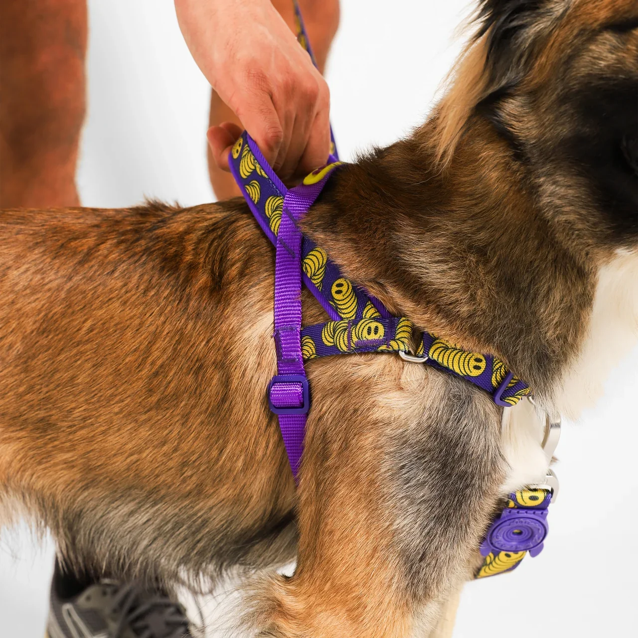 zmiley-softerwalk-harness-main-4.webp