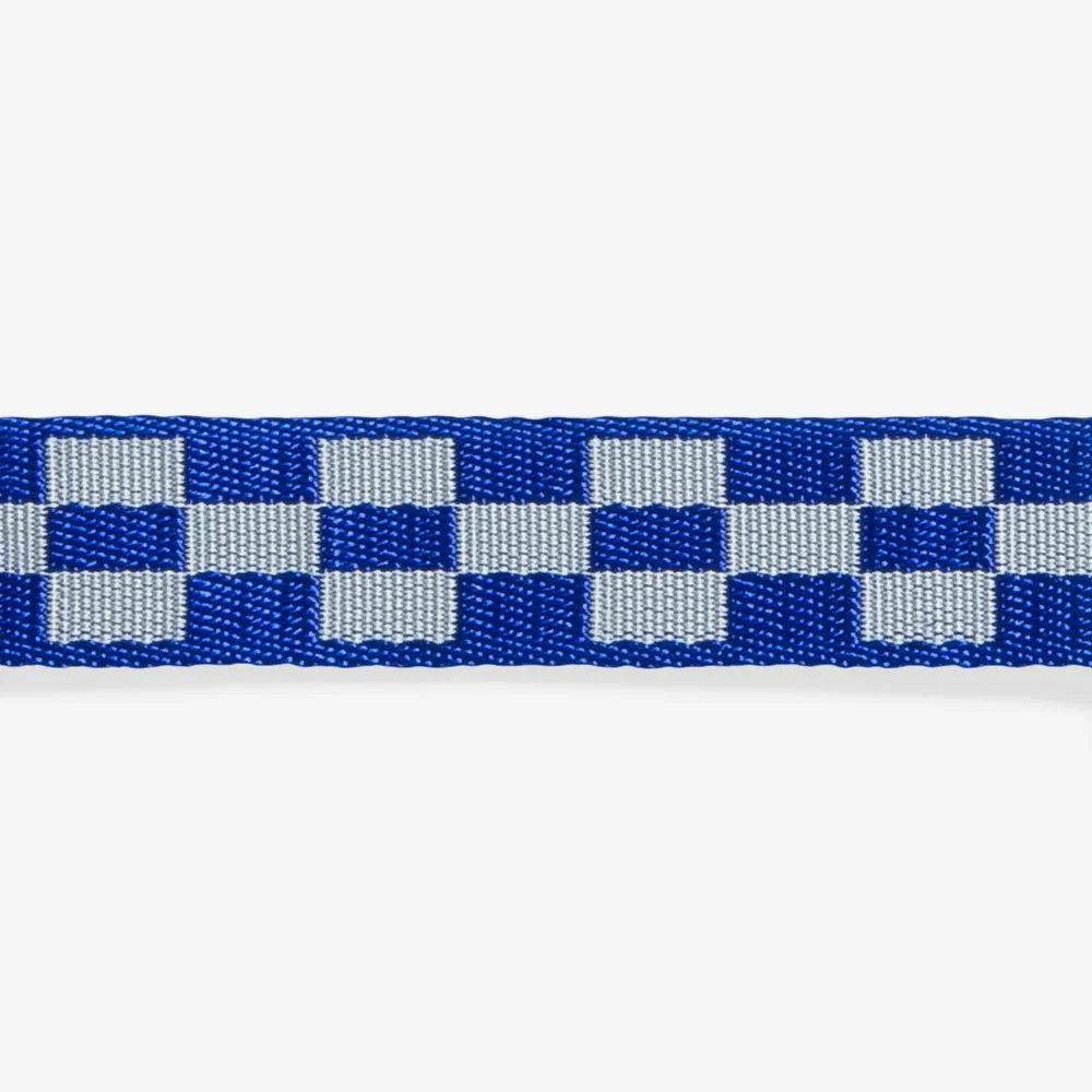 zeedog-dog-collar-astro_main-4.webp