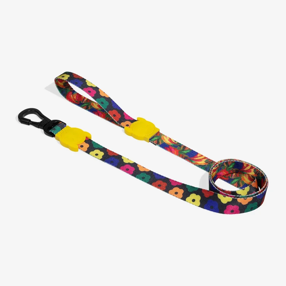 farm-leash-samba-main-3.webp