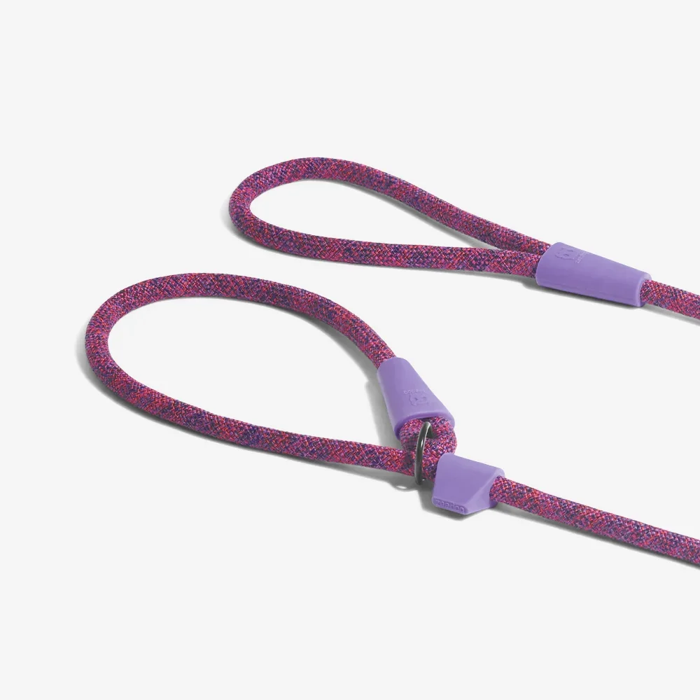 zeedog_dog_leash_slip-on_leash_cosmo_main-4.webp