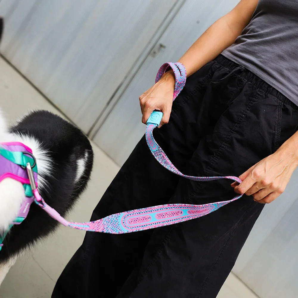 nit-leash_candy_1.webp