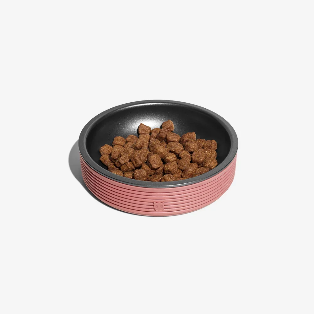 zeedog-duo-bowl-terracota_main-3.webp