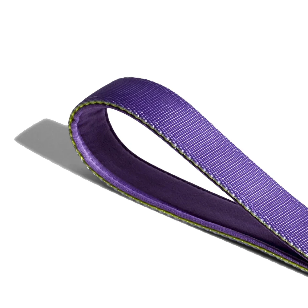 LemonadeRuffLeash2_1000x.webp