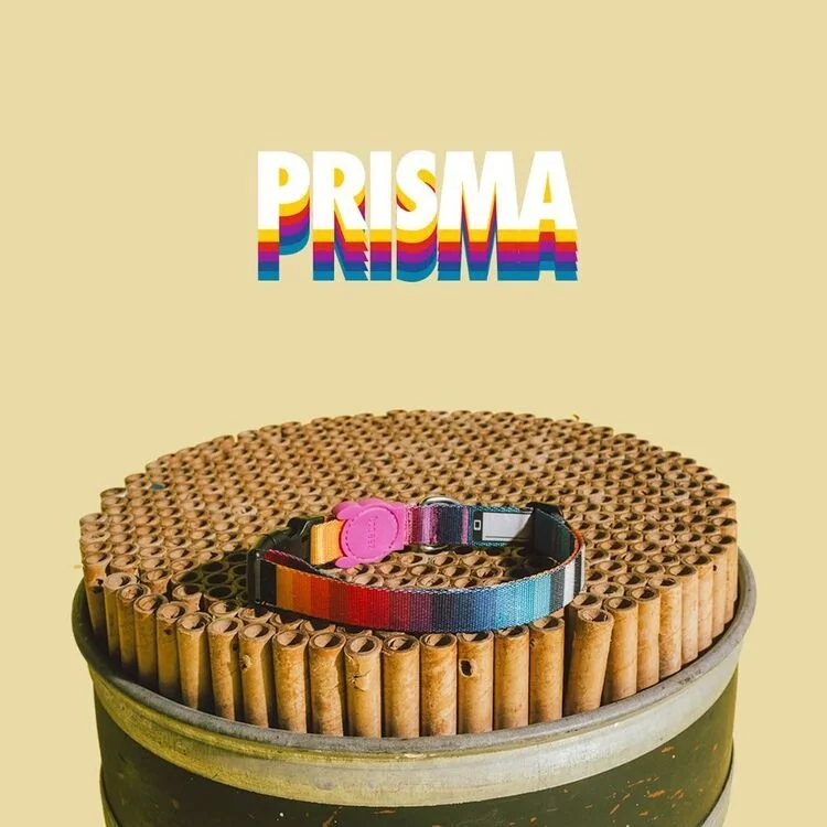 productHero-SPOTWF-BP90222064-prisma-5.jpg