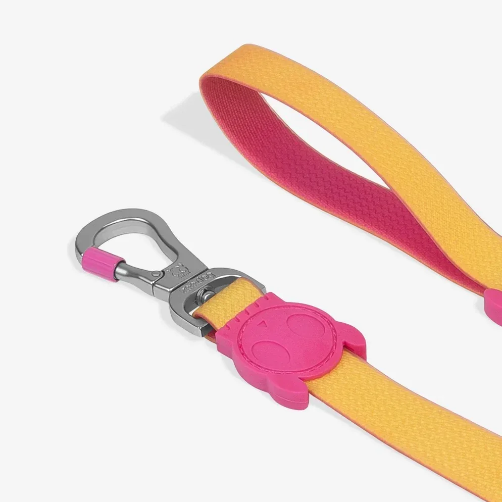 zeedog-dog-leash-neopro-lyra_main-4_1512x_b84e7637-0d43-47e8-bc26-bed247f50b4a_994x994.webp