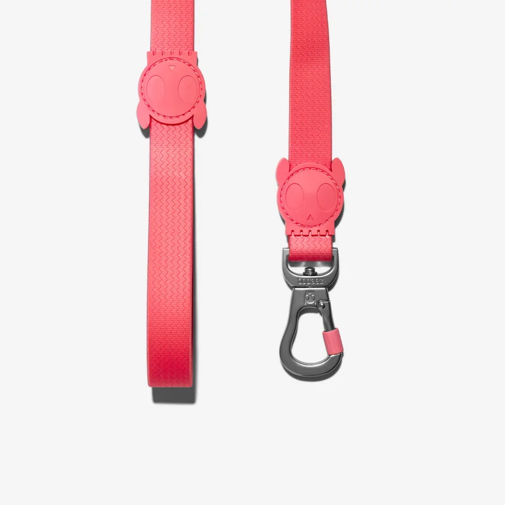 zee_dog_neopro_bubblegum_dog_leash_main-5.webp