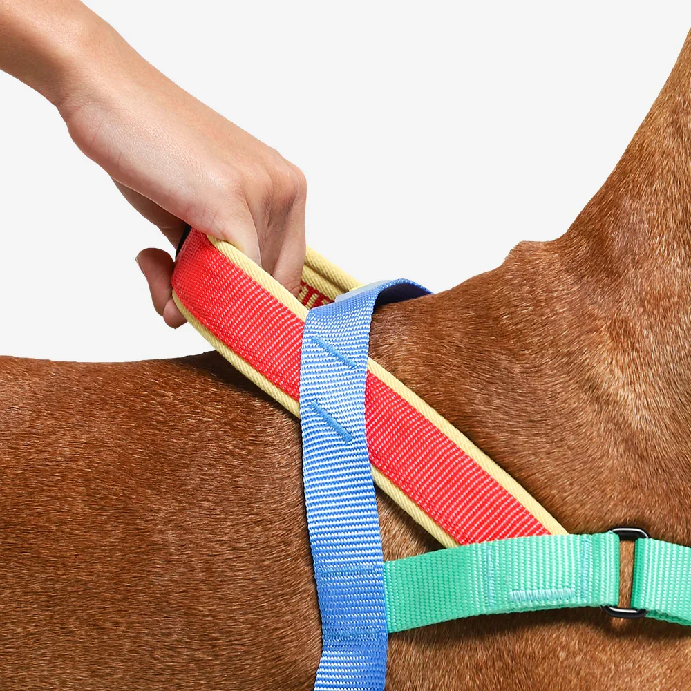 softer-walk-harness-mellow-main-4.webp