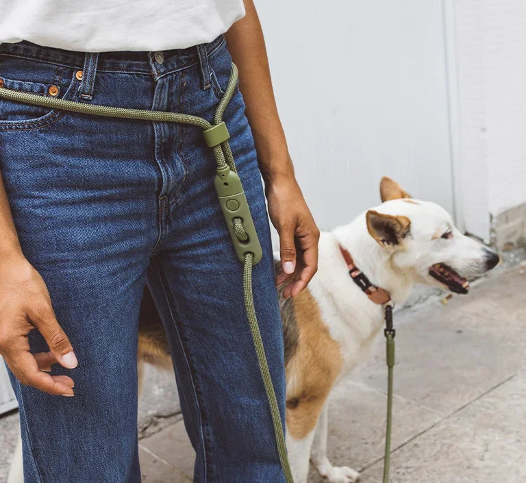zeedog-dog-leashes-hands-free-leashes-army-green-mo-carrossel-2.webp