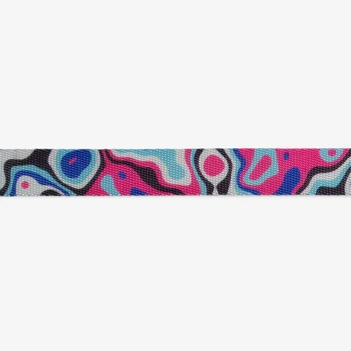 zeedog-cat-collar-blast_main-4.webp