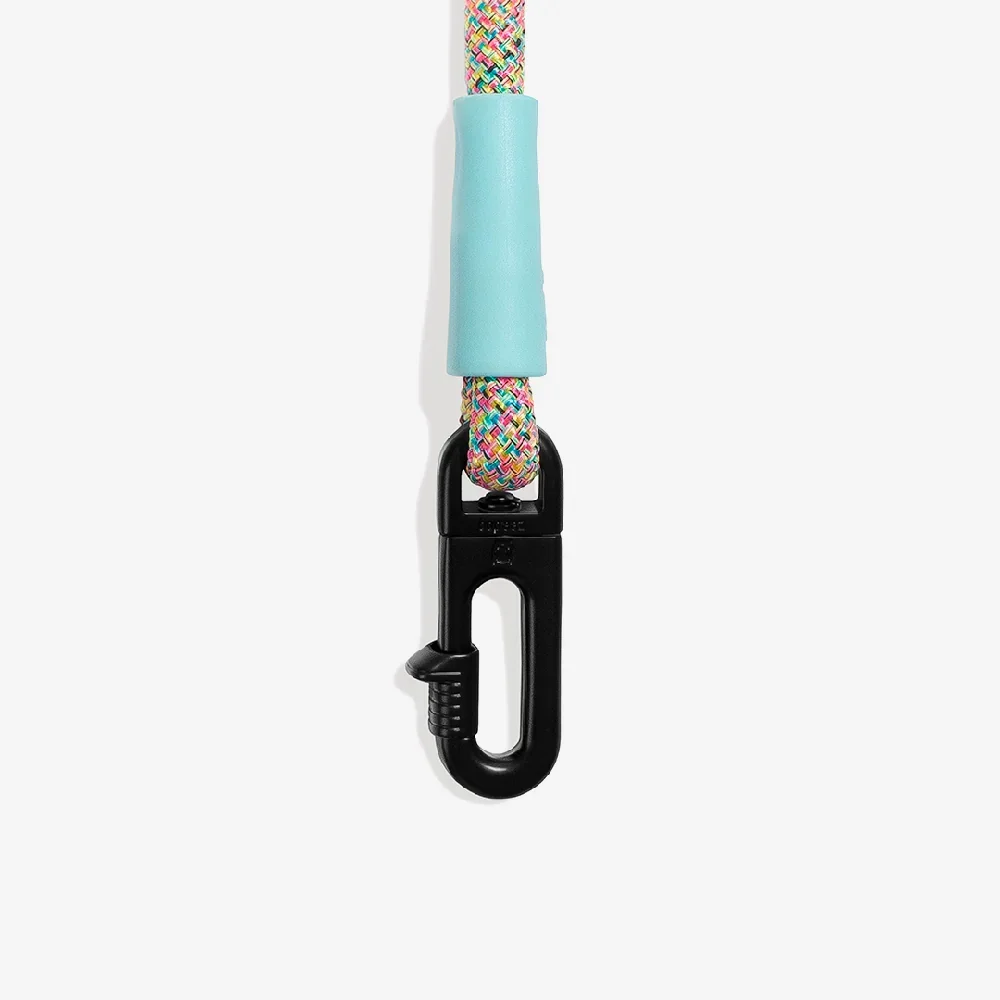 zeedog-dog-leashes-hands-free-leash-gravity_main-6.webp