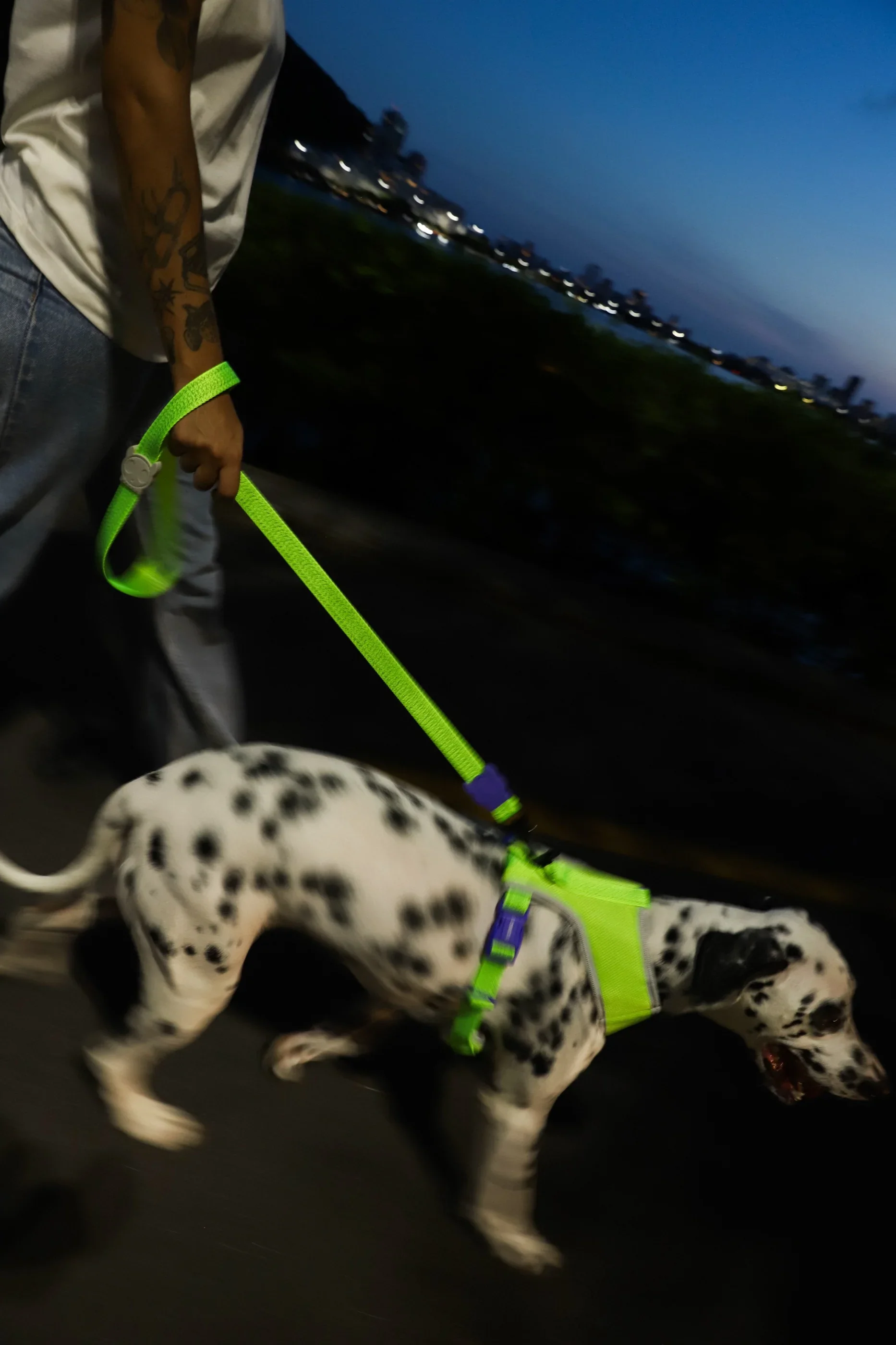 IMG_9624_4348dbc1-9113-419e-a5c1-35e902af6287_1866x2800.webp