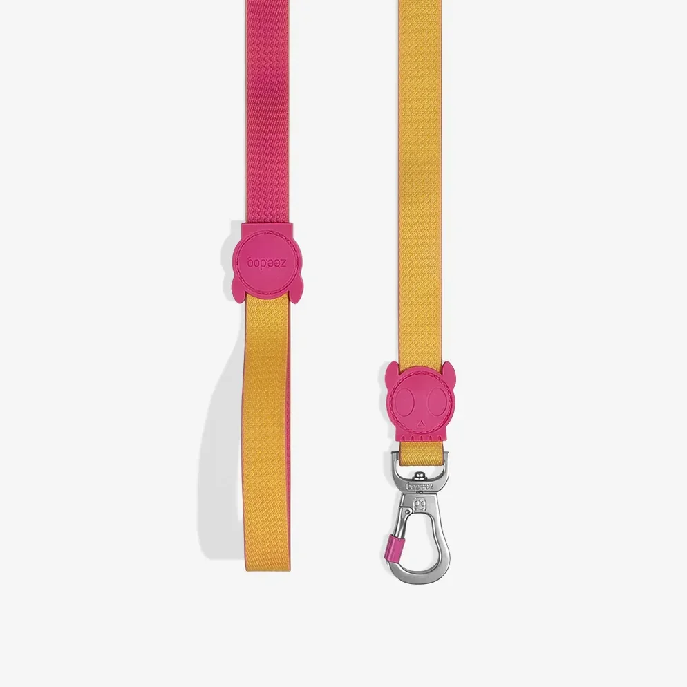 zeedog-dog-leash-neopro-lyra_main-1_1512x_78a20378-cef6-424a-9f2c-6fec4274b1a1_994x994.webp