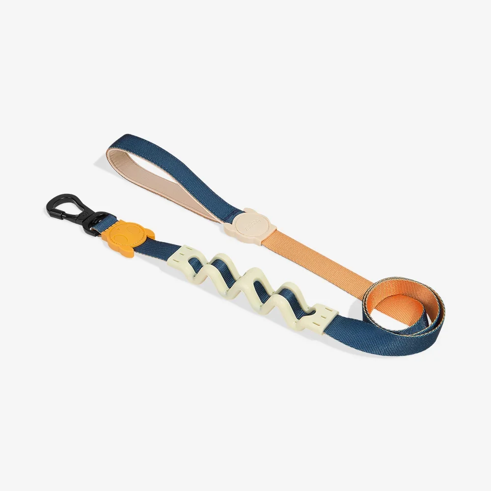 VOYAGE RUFF LEASH | ZEEDOG