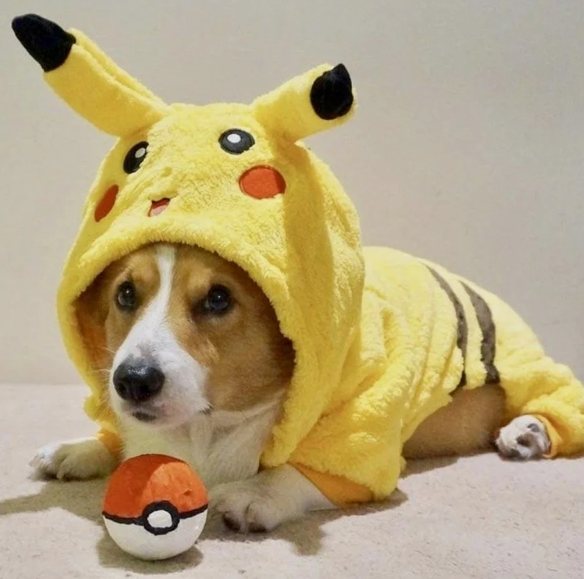 PETPIKACHU COSTUME