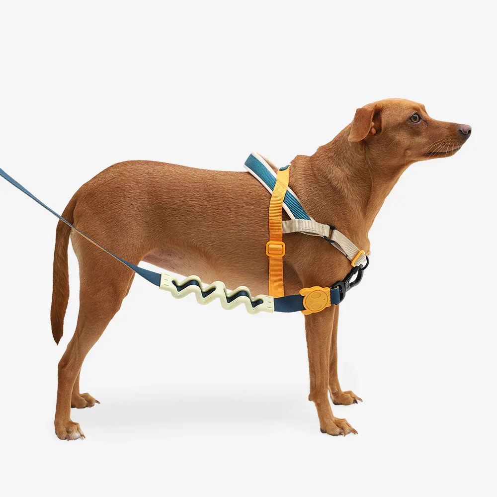 zeedog-soft-walk-harness-voyage_main-4.webp