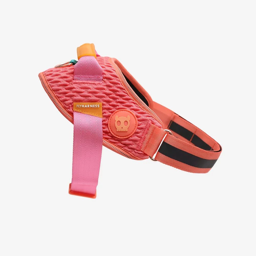 GAZELLE - FLY HARNESS | ZEEDOG